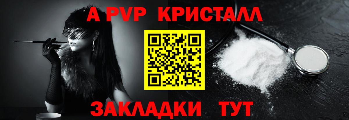 Альфа ПВП СК КРИС Вышний Волочёк