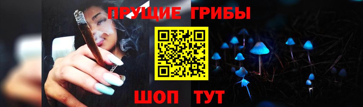 Галлюциногенные грибы Psilocybe  Вход с VPN  Вышний Волочёк 